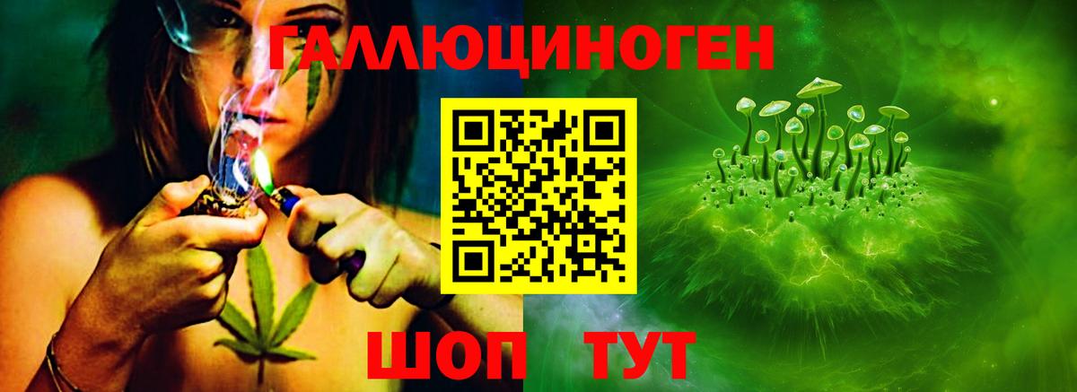 Сыктывкар  Псилоцибиновые грибы прущие грибы  Вход с VPN 